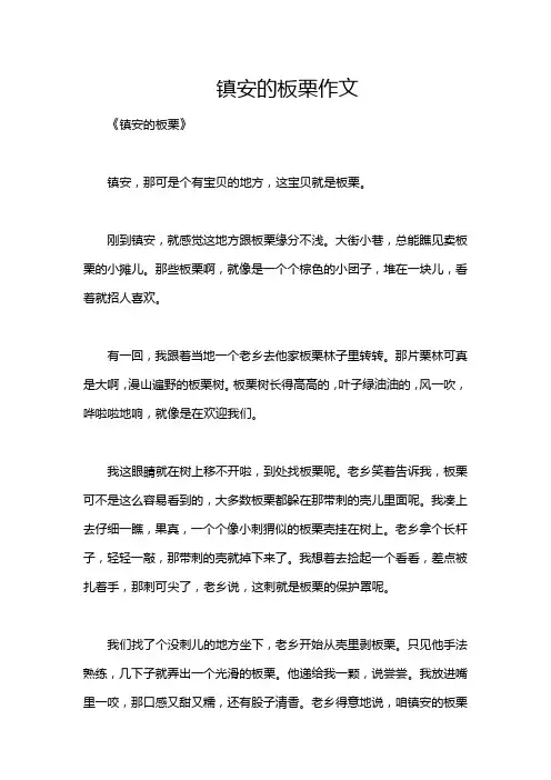 镇安的板栗作文