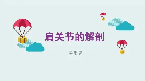 肩关节!ppt课件