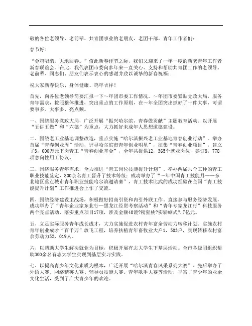 团市委书记在新春联谊会上致辞
