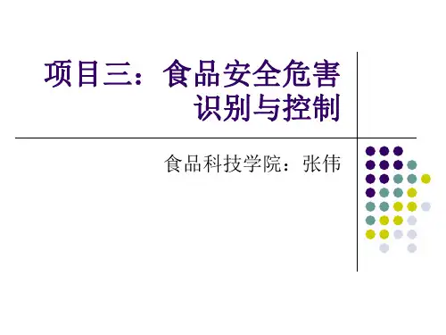 3.2.3.2食品加工中的化学危害(加工中产生的有毒化学物质)