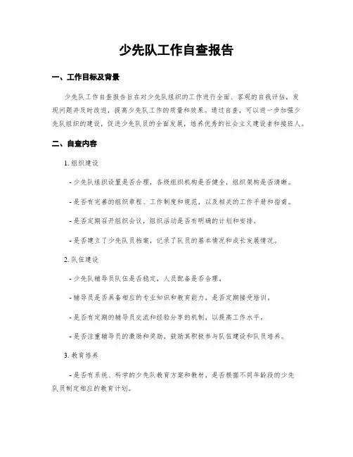 少先队工作自查报告