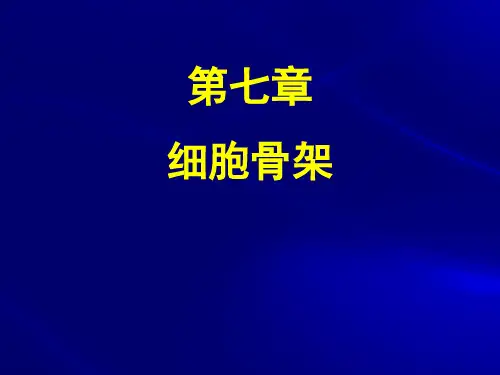 细胞骨架(细胞生物学)