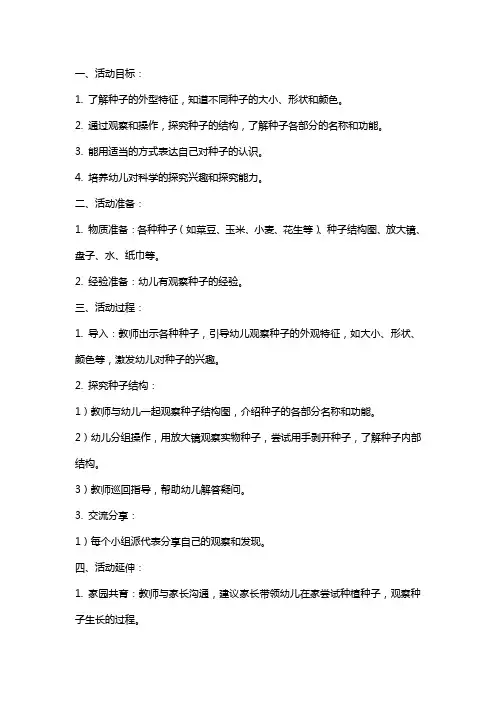 大班科学活动教案：种子的秘密