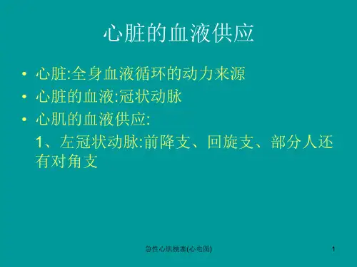 急性心肌梗塞(心电图)ppt课件