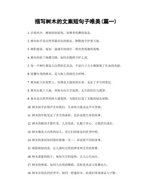 描写树木的文案短句子唯美(精选合集2篇)