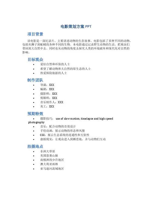 电影 策划方案 ppt