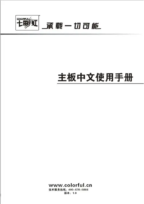 七彩虹 主板 C.N520T 中文说明书
