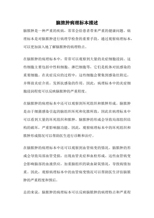 脑脓肿病理标本描述