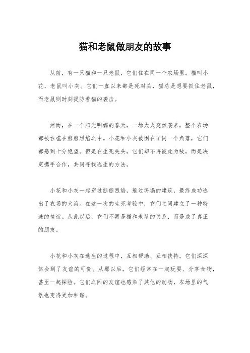 猫和老鼠做朋友的故事