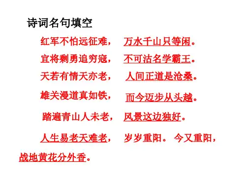 忆往昔,峥嵘岁月稠