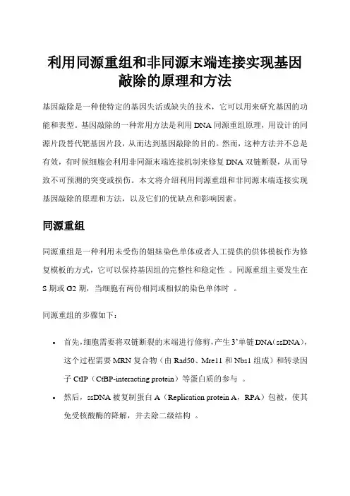 利用同源重组和非同源末端连接实现基因敲除的原理和方法