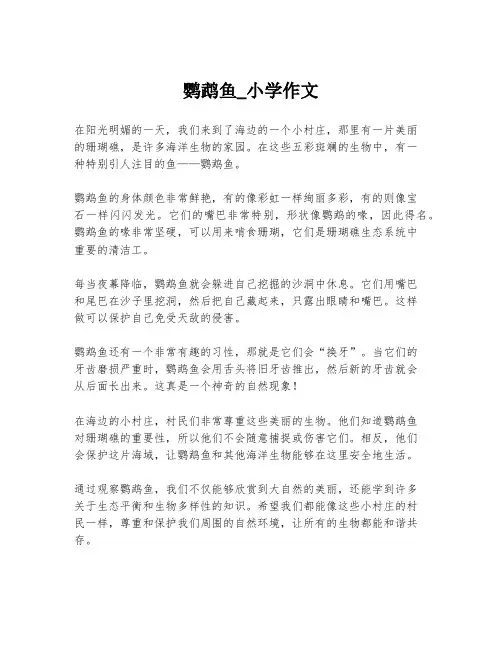 鹦鹉鱼_小学作文
