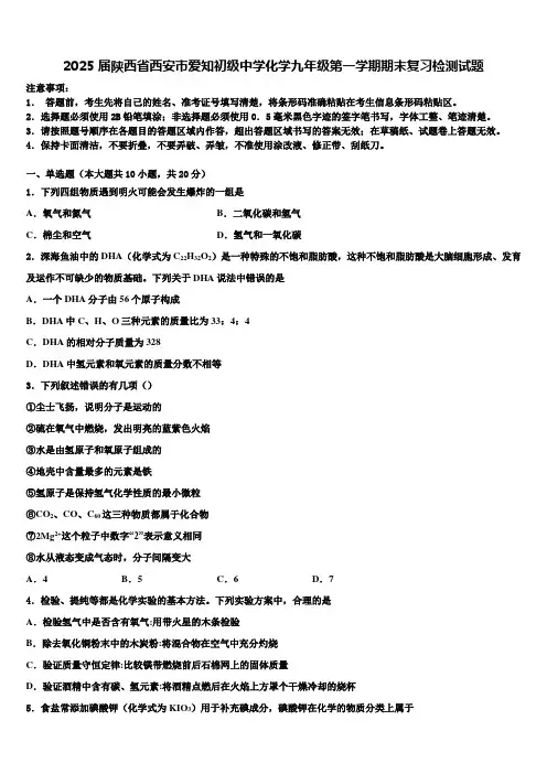 2025届陕西省西安市爱知初级中学化学九年级第一学期期末复习检测试题含解析