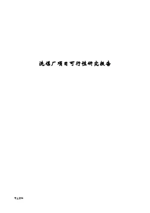 洗煤厂项目可行性研究报告