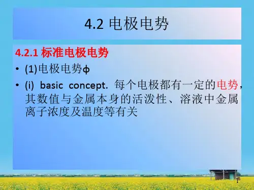 课件：电极电势