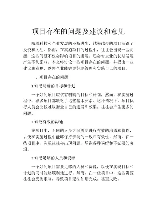 项目存在的问题及建议和意见
