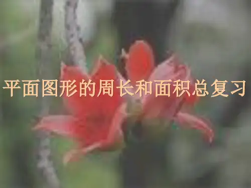 《平面图形的周长和面积》课件