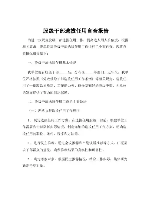 股级干部选拔任用自查报告
