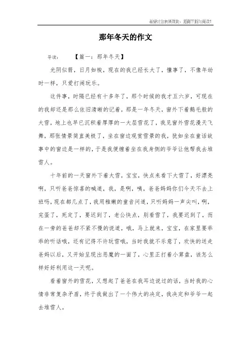 那年冬天的作文