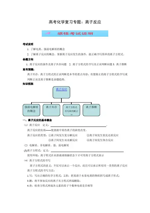 高考化学复习专题离子反应