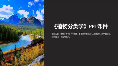 《植物分类学》课件