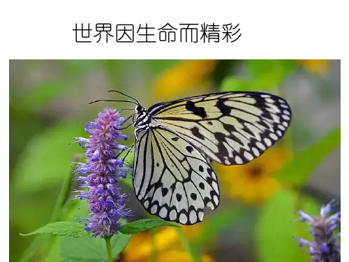 七年级道德与法治下册 第八单元 珍爱生命 热爱生活 第