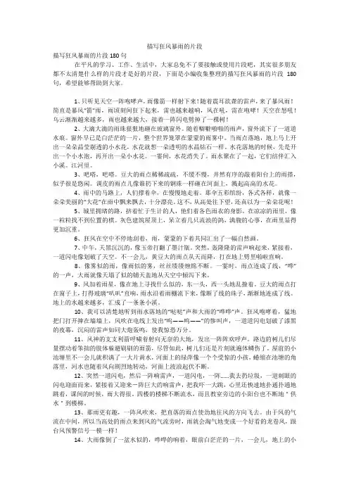 描写狂风暴雨的片段