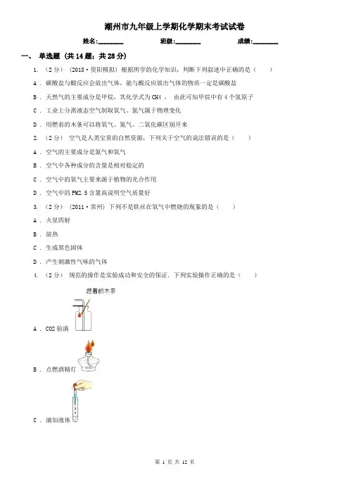 潮州市九年级上学期化学期末考试试卷
