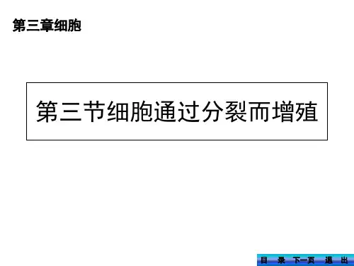 北师大版七年级生物上册第3章第3节细胞通过分裂而增殖课件(共35张PPT)