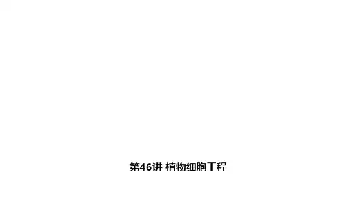 高三生物一轮复习课件植物细胞工程