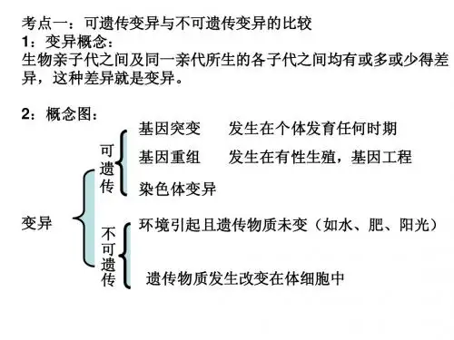 基因突变及其他变异