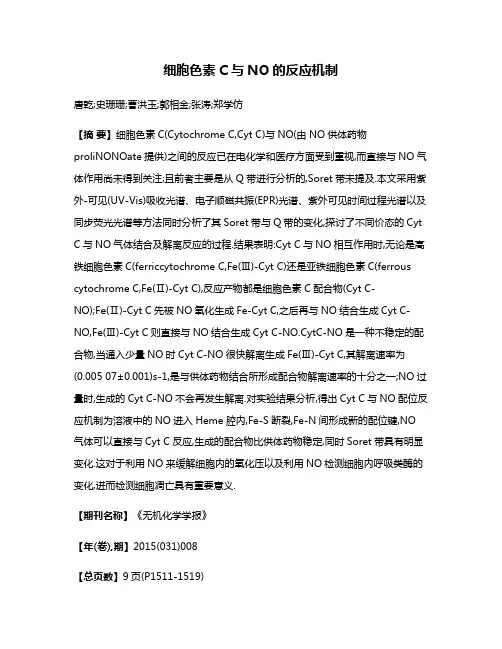 细胞色素C与NO的反应机制