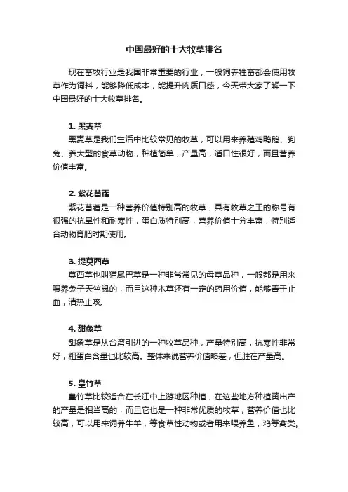 中国最好的十大牧草排名