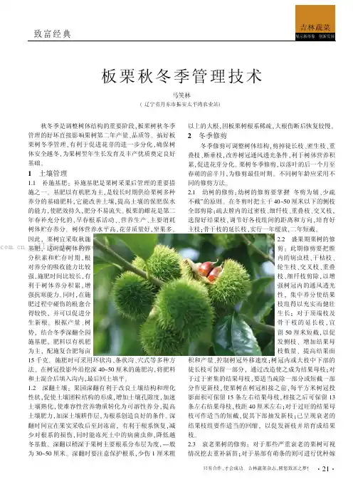 板栗秋冬季管理技术