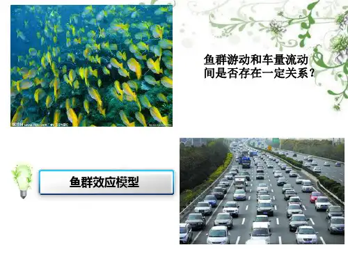 鱼群效用模型