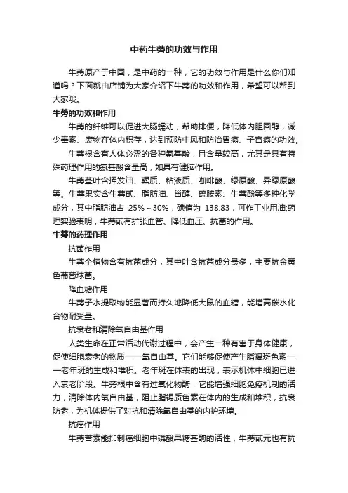 中药牛蒡的功效与作用