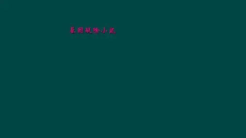 基因敲除小鼠