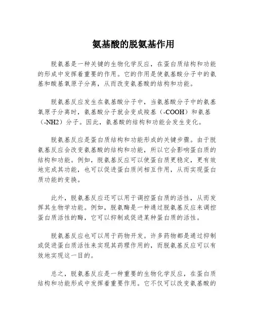 氨基酸的脱氨基作用