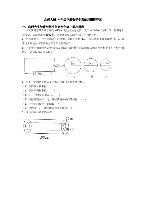北师大版 六年级下册数学专项练习题附答案