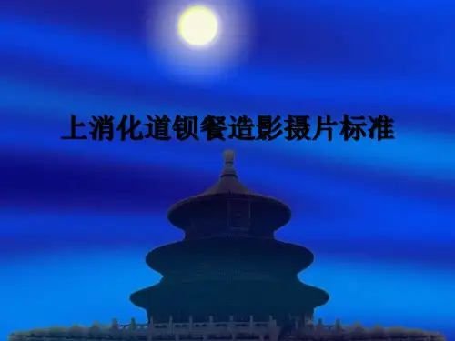 上消化道钡餐造影摄片标准 PPT