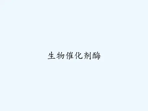 生物催化剂酶