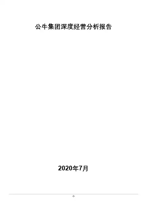 公牛集团深度经营分析报告