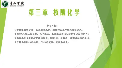 第三章  核酸化学