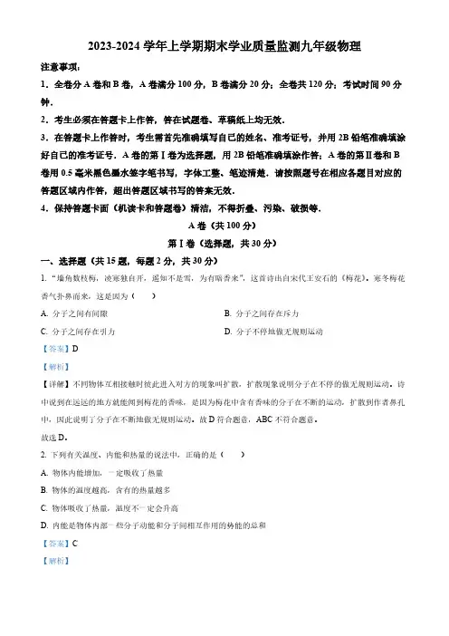 四川省成都市高新区2023-2024学年九年级上学期期末学业质量检测物理试题(解析版)