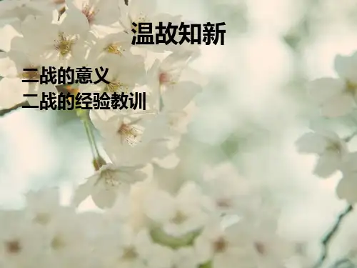 人教版选修《两极格局的形成》ppt