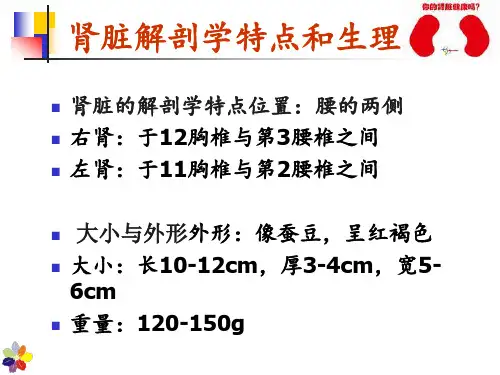 慢性肾衰竭的护理PPT课件