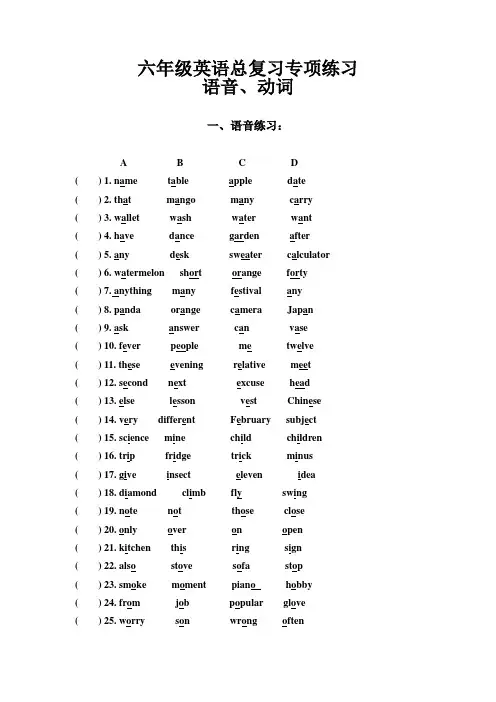 六年级英语总复习 语音动词及代词