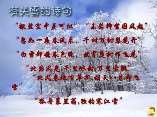 鲁迅《雪》课件ppt