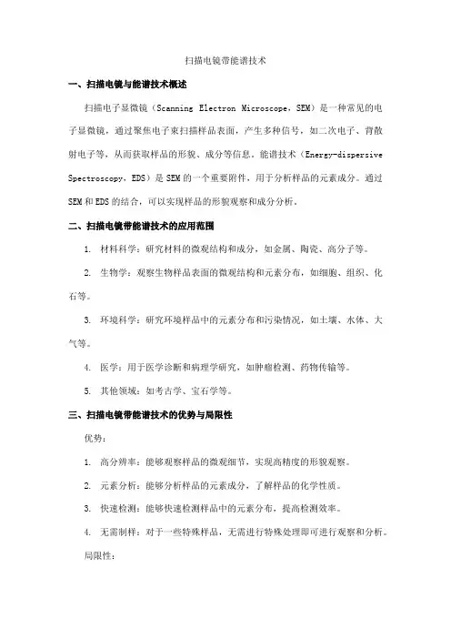 扫描电镜带能谱