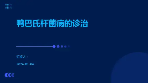 鸭巴氏杆菌病的诊治
